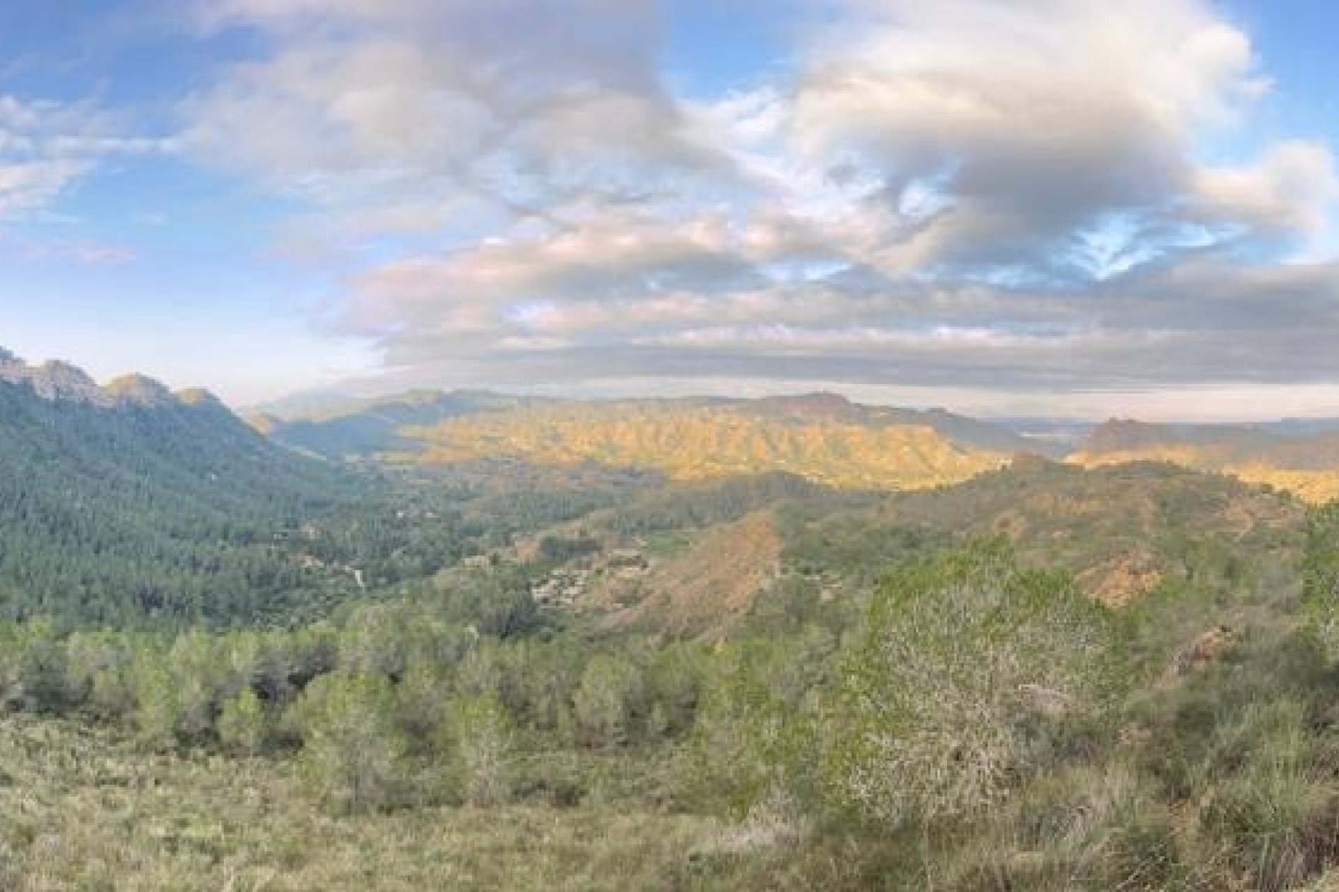 Resale - Farm Estate / Country Property - Murcia