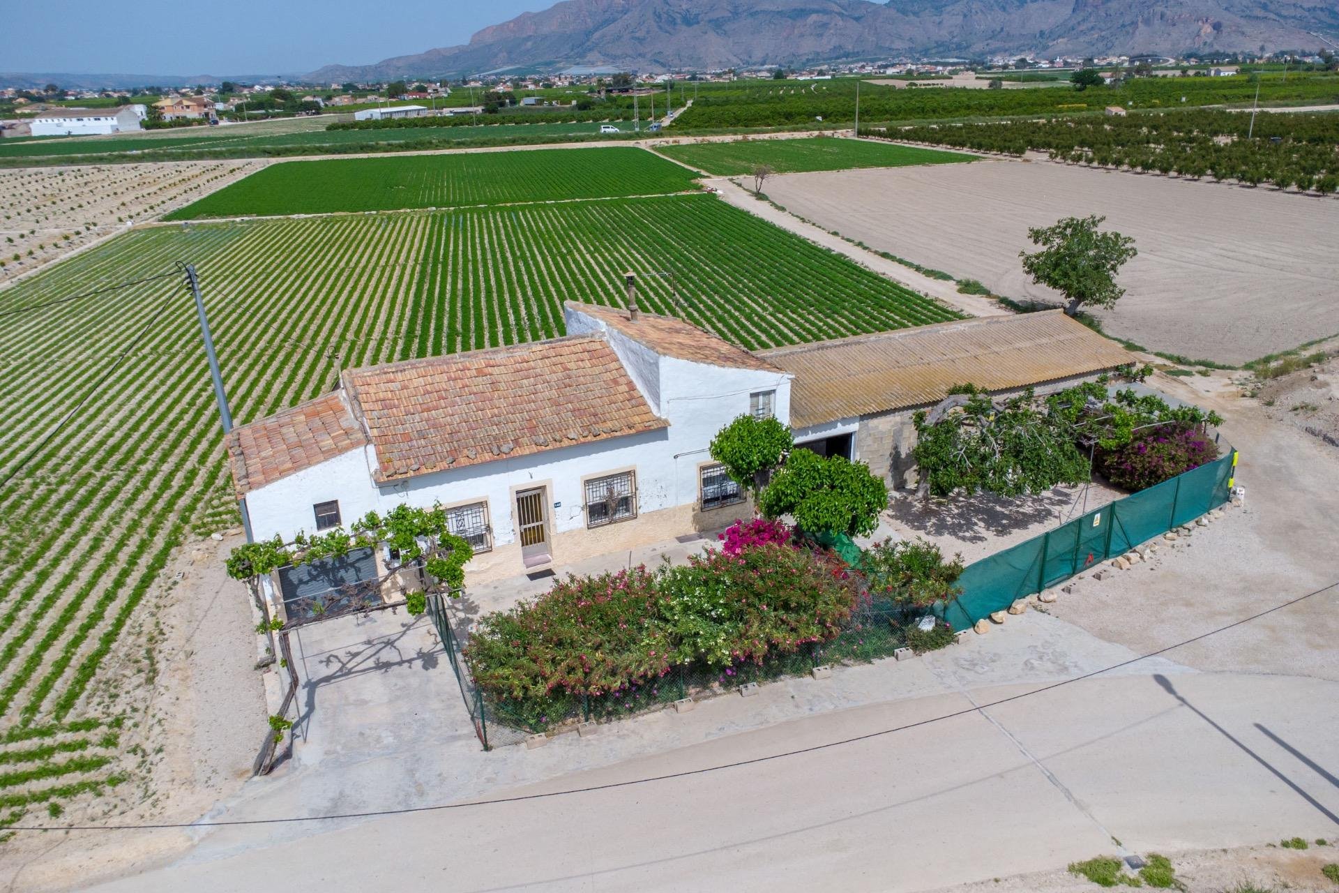 Resale - Farm Estate / Country Property - Orihuela - Desamparados-Hurchillo-Torremendo