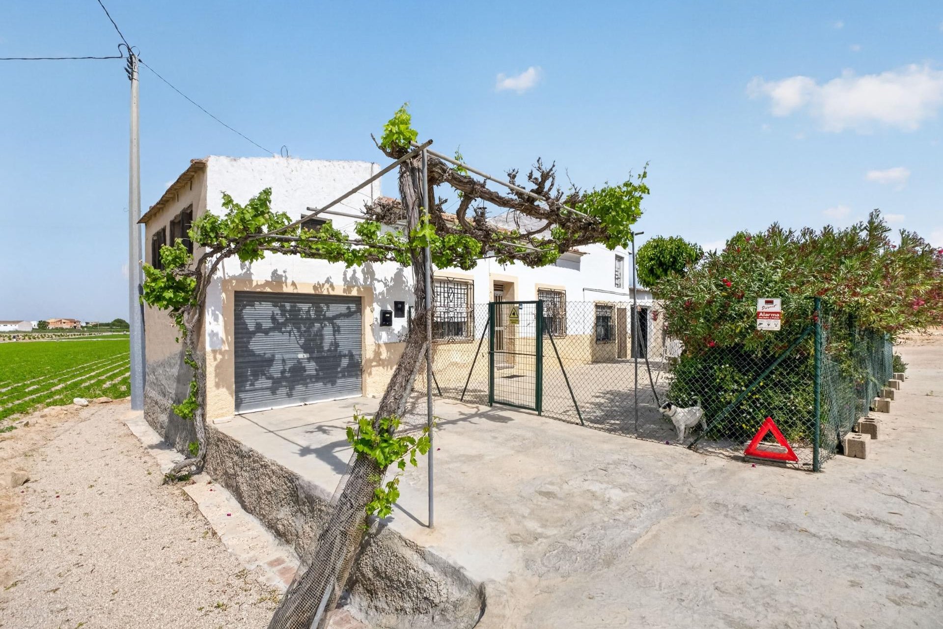 Resale - Farm Estate / Country Property - Orihuela - Desamparados-Hurchillo-Torremendo