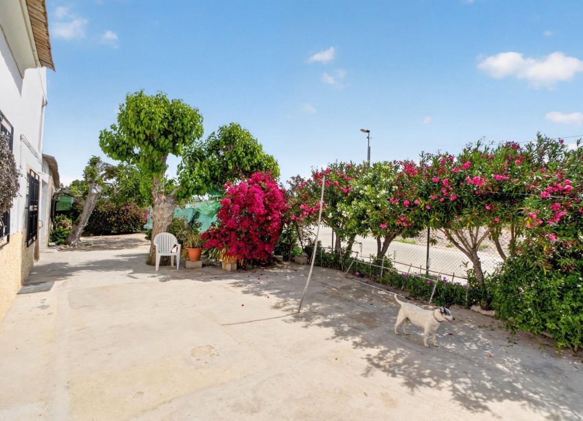 Resale - Farm Estate / Country Property - Orihuela - Desamparados-Hurchillo-Torremendo