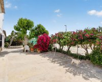 Resale - Farm Estate / Country Property - Orihuela - Desamparados-Hurchillo-Torremendo