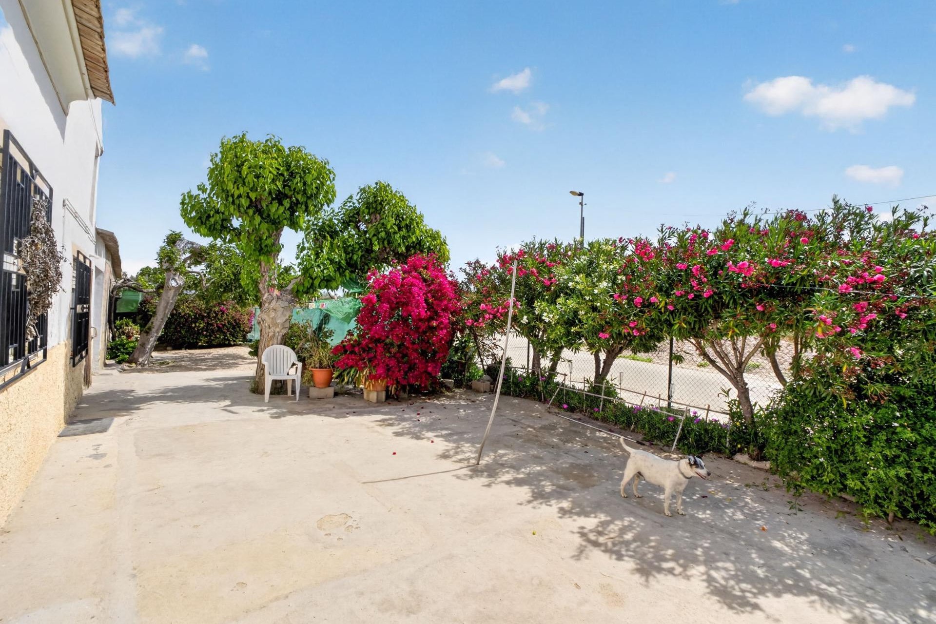 Resale - Farm Estate / Country Property - Orihuela - Desamparados-Hurchillo-Torremendo