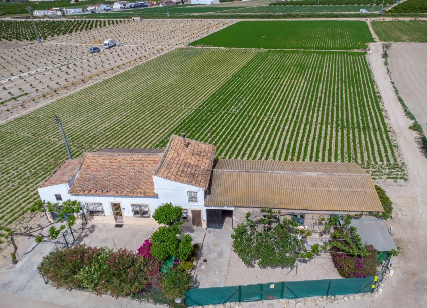 Resale - Farm Estate / Country Property - Orihuela - Desamparados-Hurchillo-Torremendo
