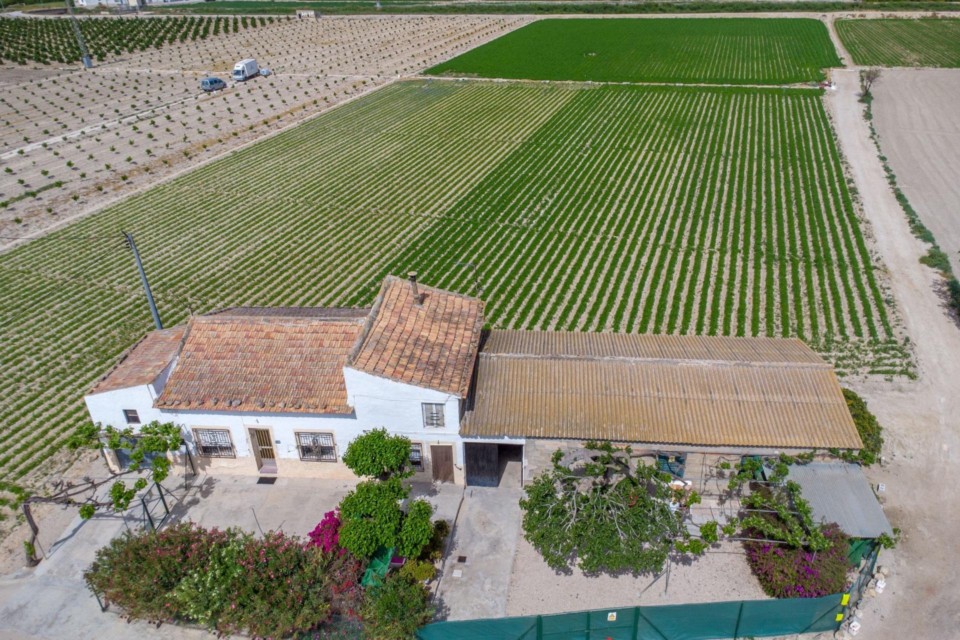 Resale - Farm Estate / Country Property - Orihuela - Desamparados-Hurchillo-Torremendo