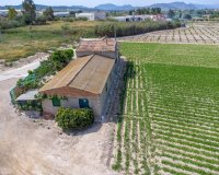 Resale - Farm Estate / Country Property - Orihuela - Desamparados-Hurchillo-Torremendo