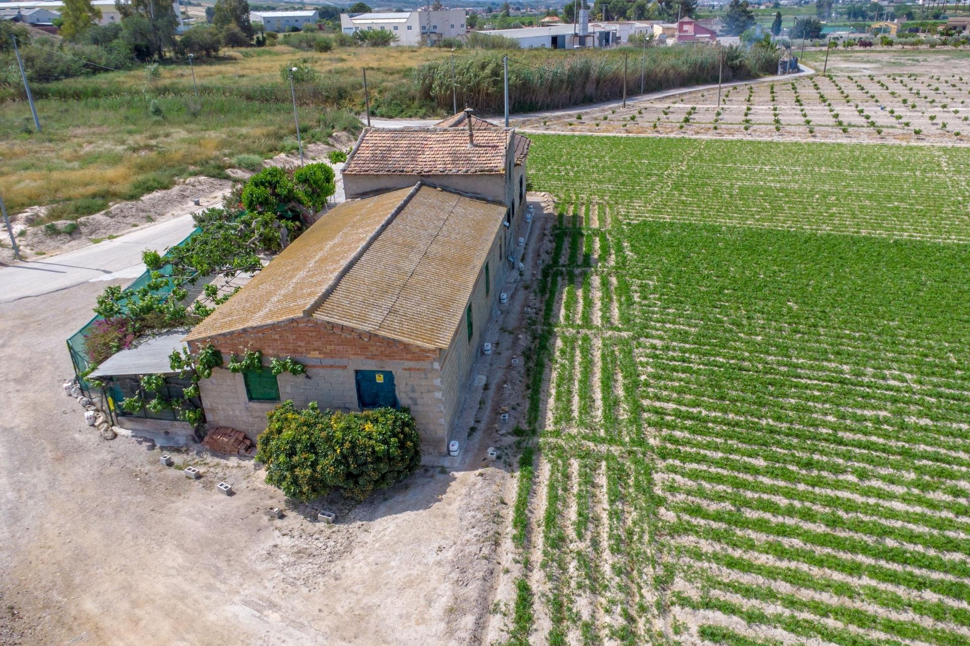 Resale - Farm Estate / Country Property - Orihuela - Desamparados-Hurchillo-Torremendo
