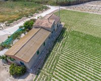 Resale - Farm Estate / Country Property - Orihuela - Desamparados-Hurchillo-Torremendo