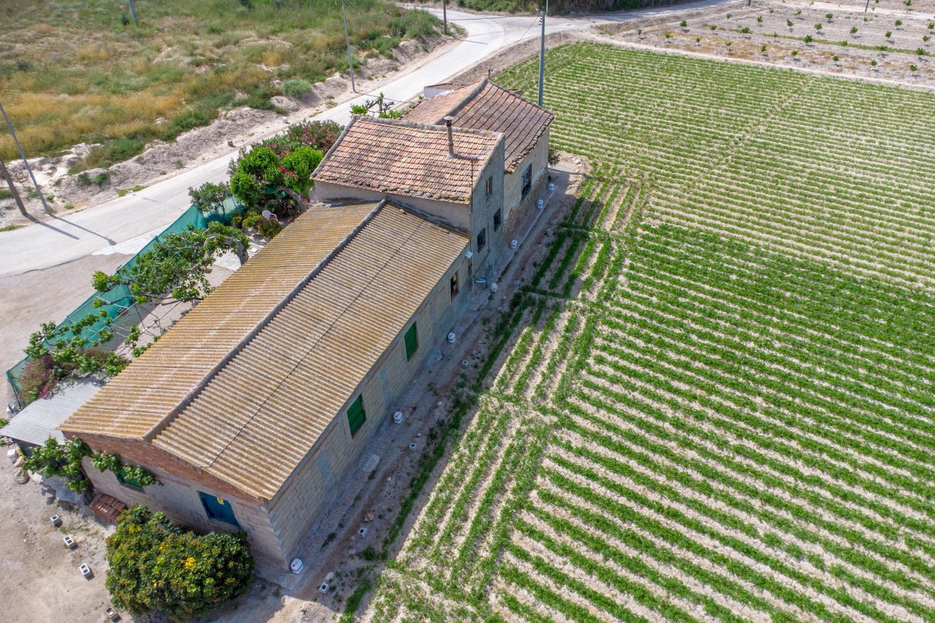 Resale - Farm Estate / Country Property - Orihuela - Desamparados-Hurchillo-Torremendo