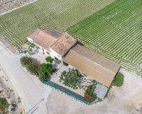 Resale - Farm Estate / Country Property - Orihuela - Desamparados-Hurchillo-Torremendo