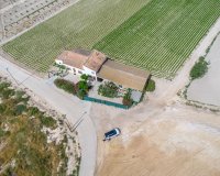 Resale - Farm Estate / Country Property - Orihuela - Desamparados-Hurchillo-Torremendo