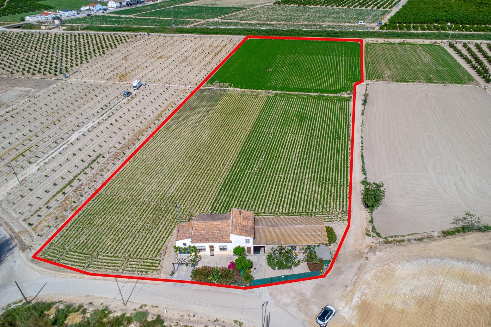 Resale - Farm Estate / Country Property - Orihuela - Desamparados-Hurchillo-Torremendo