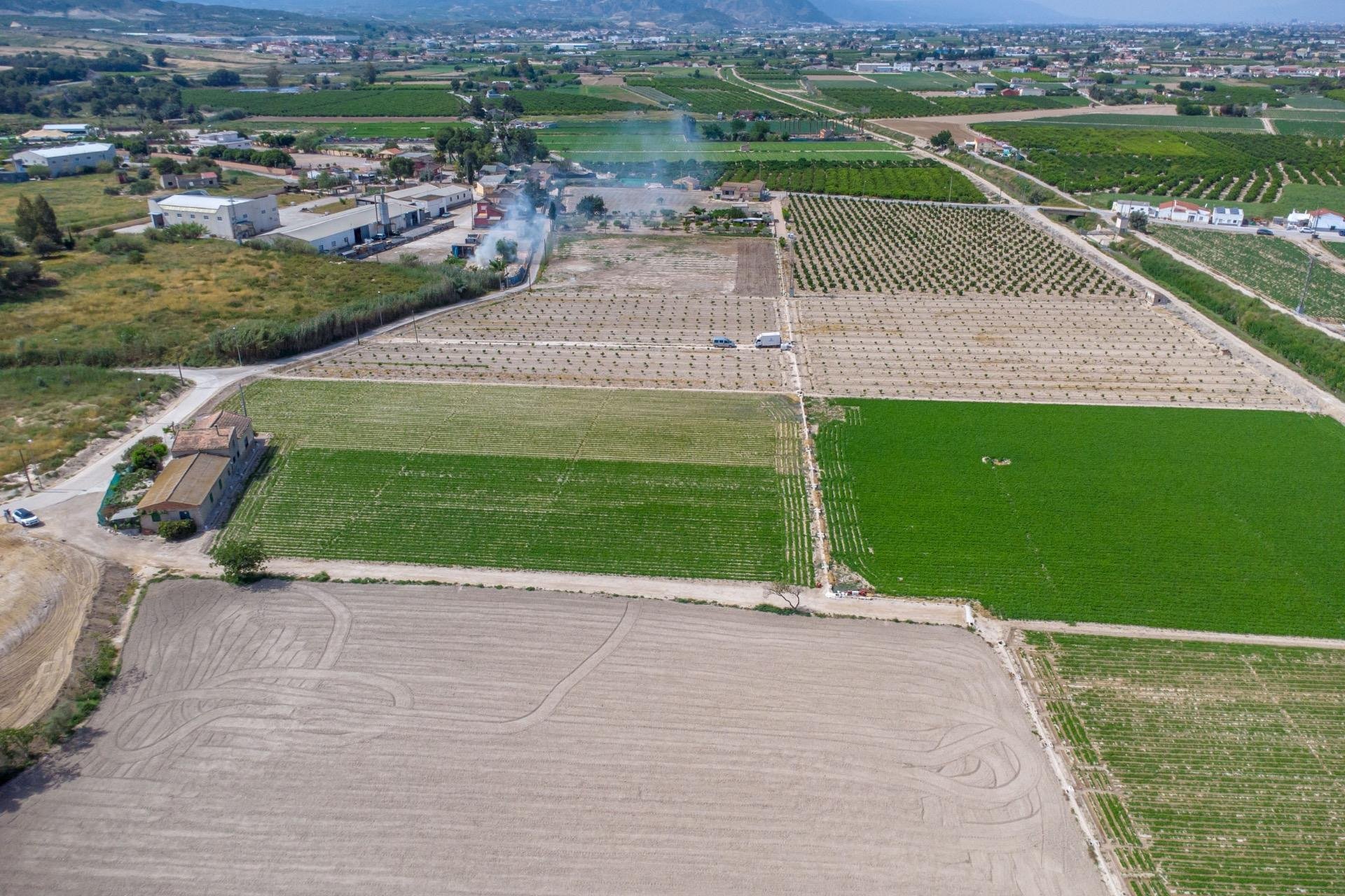 Resale - Farm Estate / Country Property - Orihuela - Desamparados-Hurchillo-Torremendo