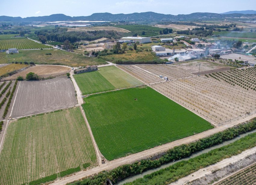 Resale - Farm Estate / Country Property - Orihuela - Desamparados-Hurchillo-Torremendo