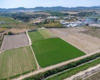 Resale - Farm Estate / Country Property - Orihuela - Desamparados-Hurchillo-Torremendo