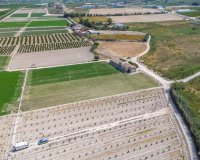 Resale - Farm Estate / Country Property - Orihuela - Desamparados-Hurchillo-Torremendo