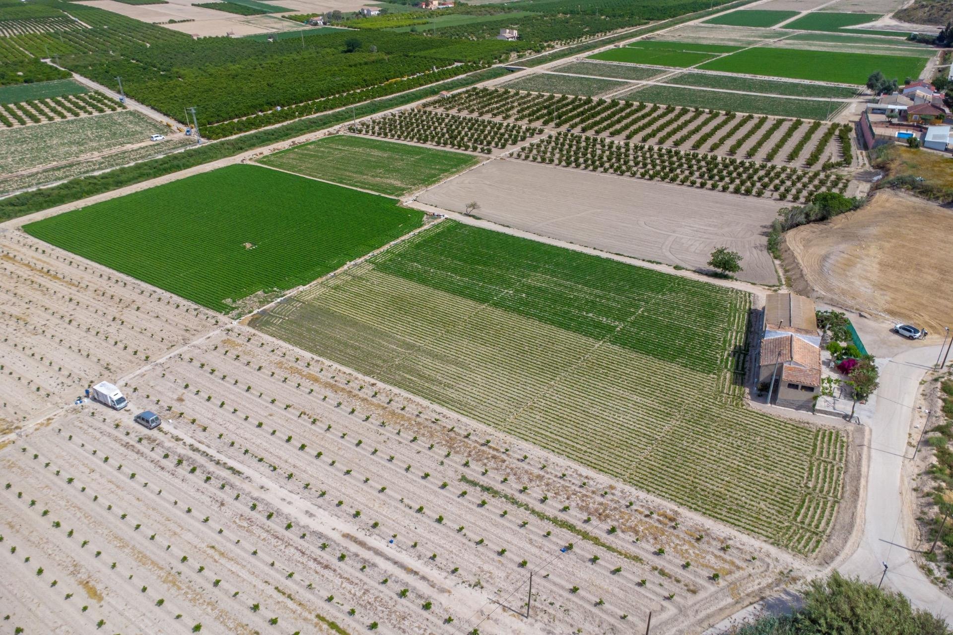 Resale - Farm Estate / Country Property - Orihuela - Desamparados-Hurchillo-Torremendo
