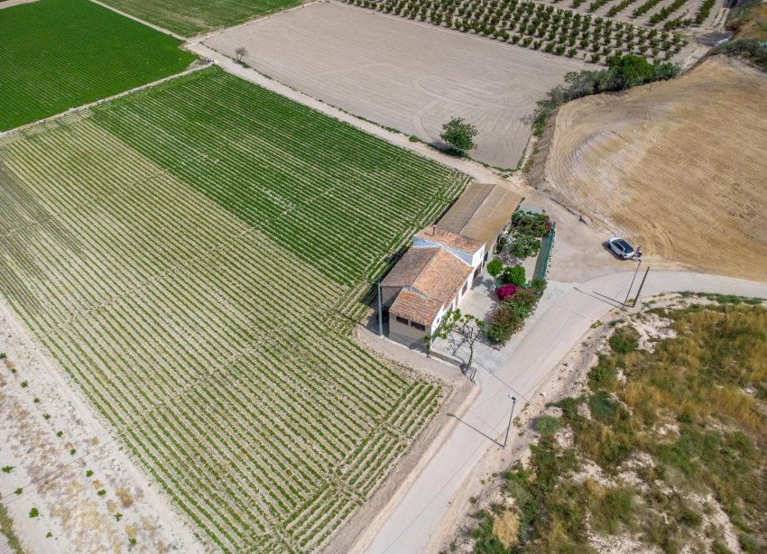 Resale - Farm Estate / Country Property - Orihuela - Desamparados-Hurchillo-Torremendo