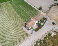 Resale - Farm Estate / Country Property - Orihuela - Desamparados-Hurchillo-Torremendo