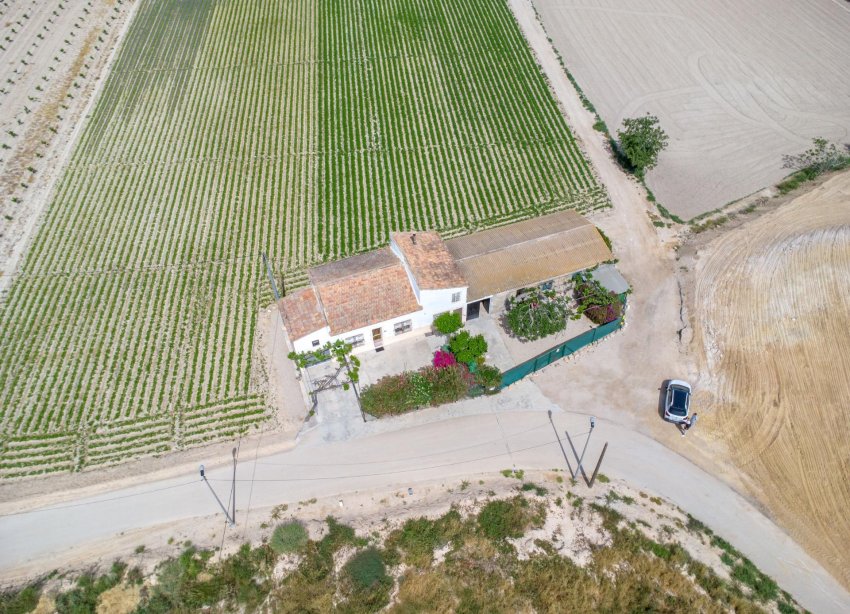 Resale - Farm Estate / Country Property - Orihuela - Desamparados-Hurchillo-Torremendo