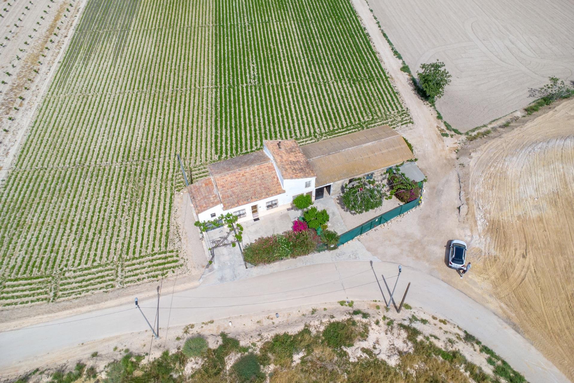 Resale - Farm Estate / Country Property - Orihuela - Desamparados-Hurchillo-Torremendo