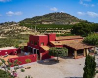 Resale - Farm Estate / Country Property - Orihuela - Torremendo