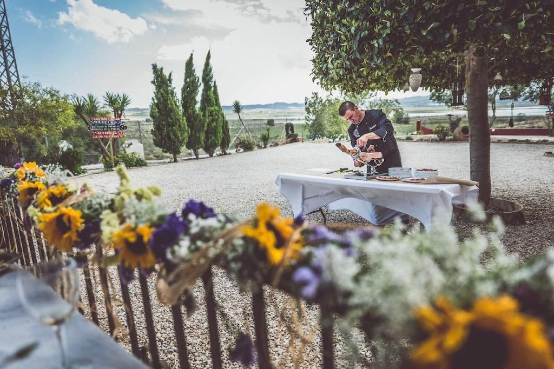 Resale - Farm Estate / Country Property - Orihuela - Torremendo