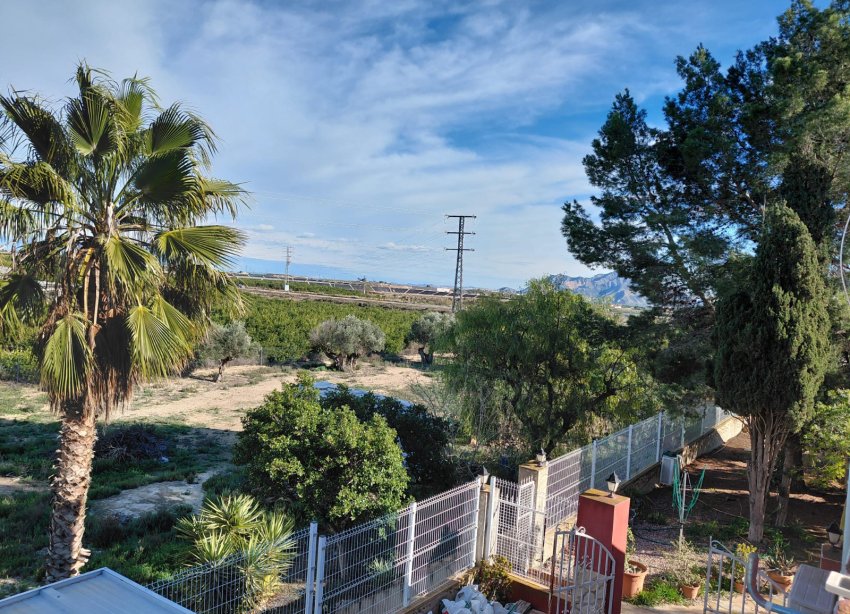 Resale - Farm Estate / Country Property - Orihuela