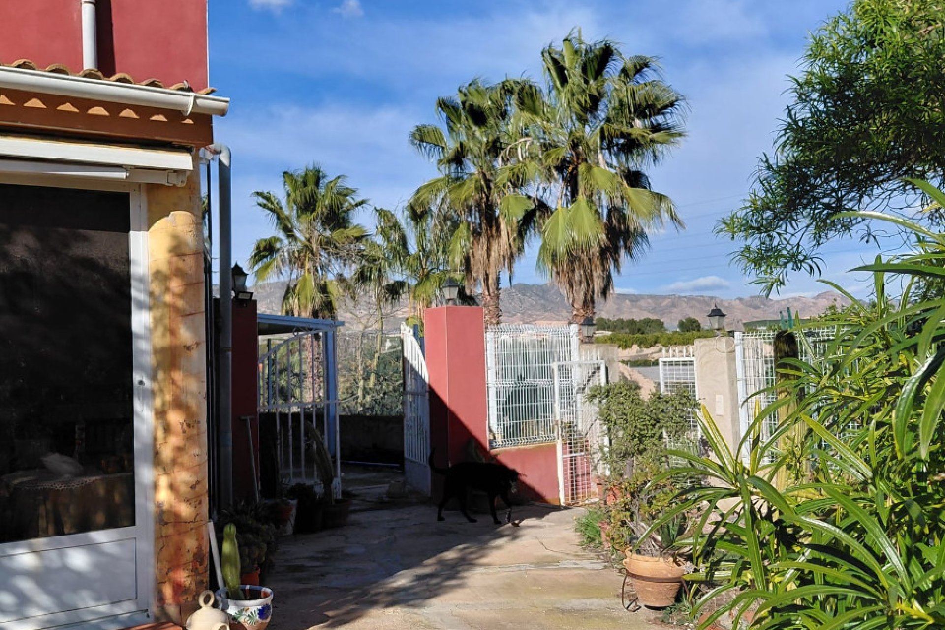 Resale - Farm Estate / Country Property - Orihuela