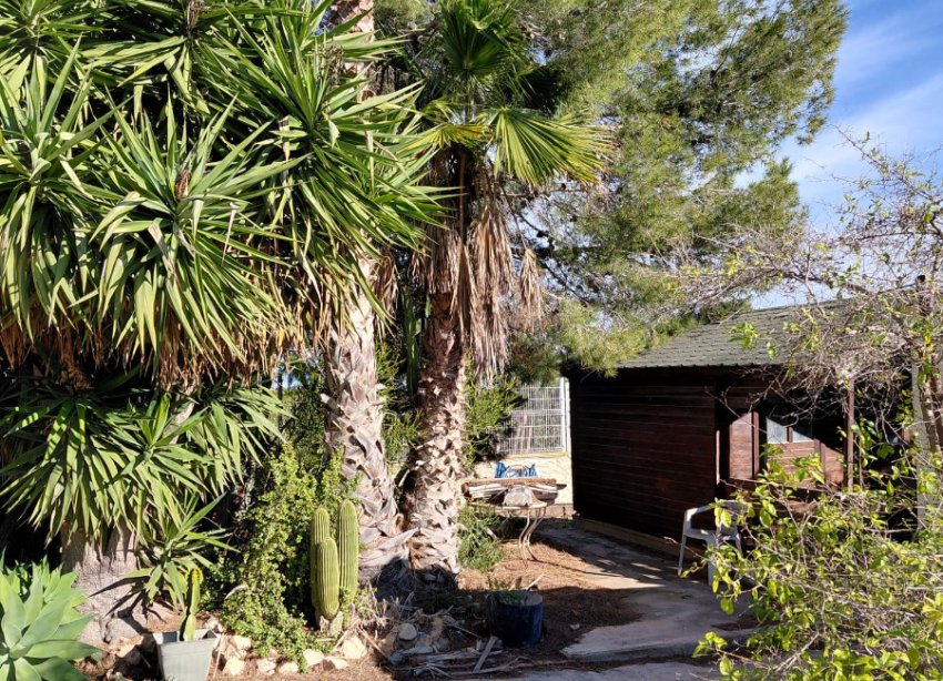 Resale - Farm Estate / Country Property - Orihuela