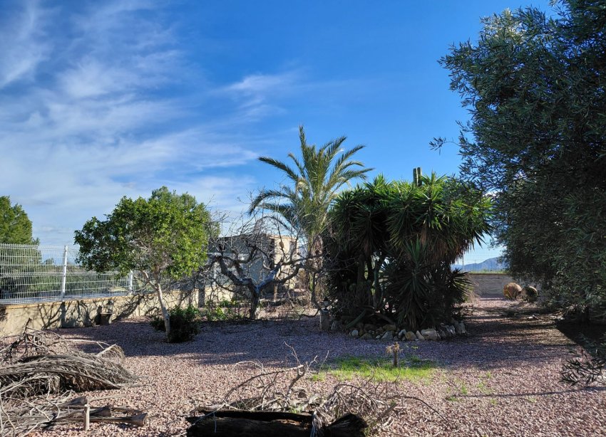 Resale - Farm Estate / Country Property - Orihuela