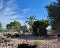 Resale - Farm Estate / Country Property - Orihuela