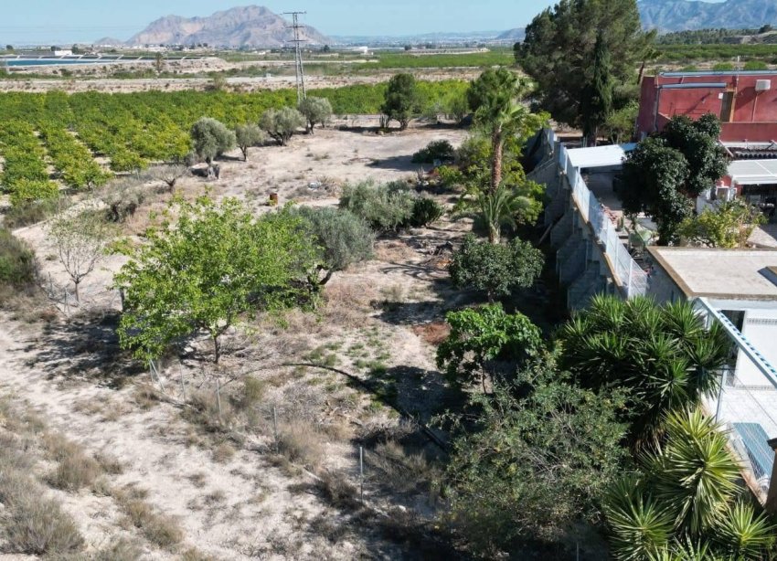 Resale - Farm Estate / Country Property - Orihuela
