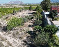 Resale - Farm Estate / Country Property - Orihuela