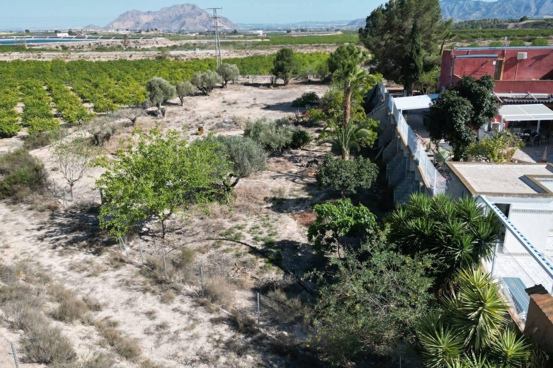 Resale - Farm Estate / Country Property - Orihuela