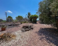 Resale - Farm Estate / Country Property - Orihuela