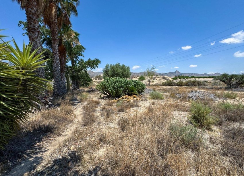 Resale - Farm Estate / Country Property - Orihuela