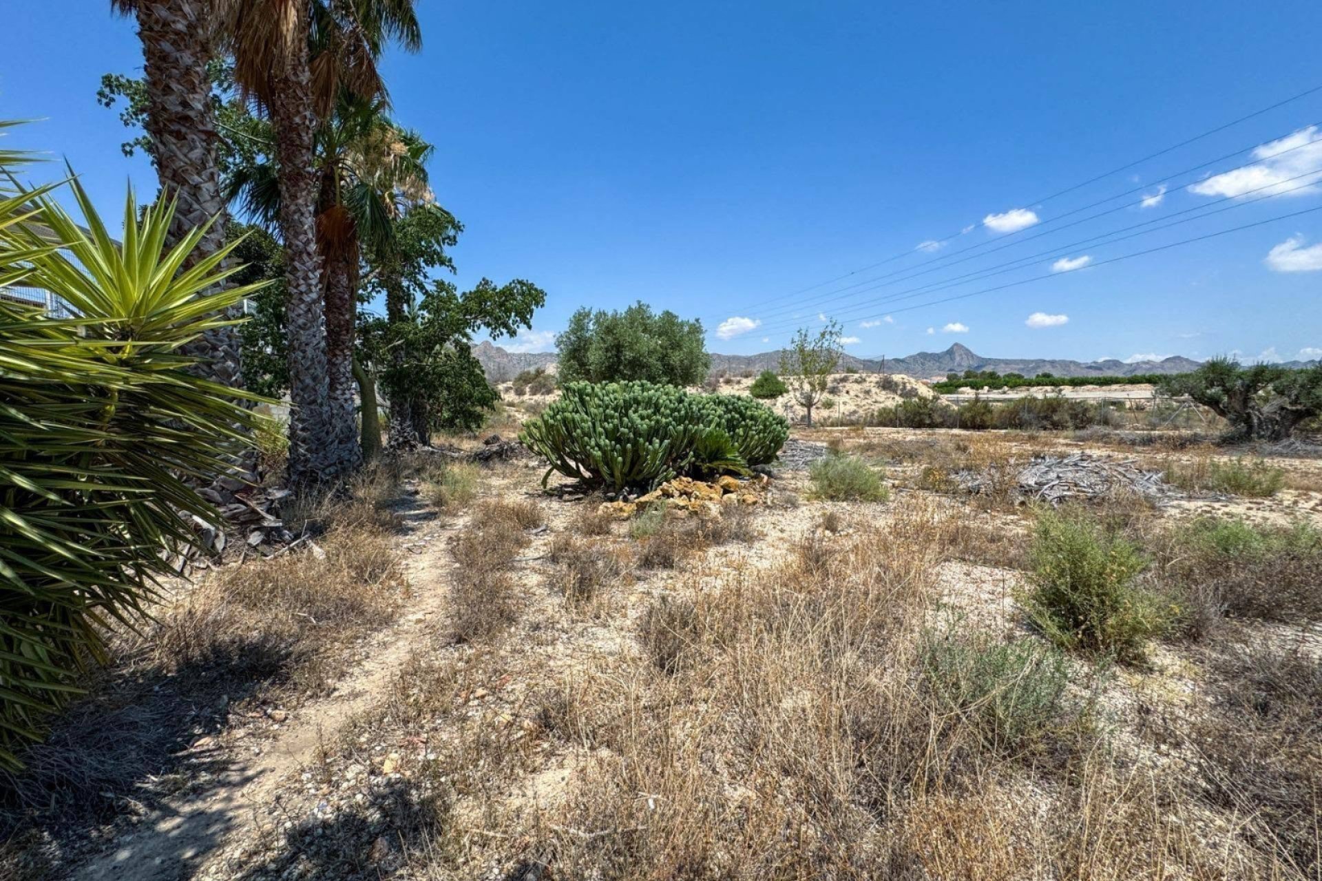 Resale - Farm Estate / Country Property - Orihuela