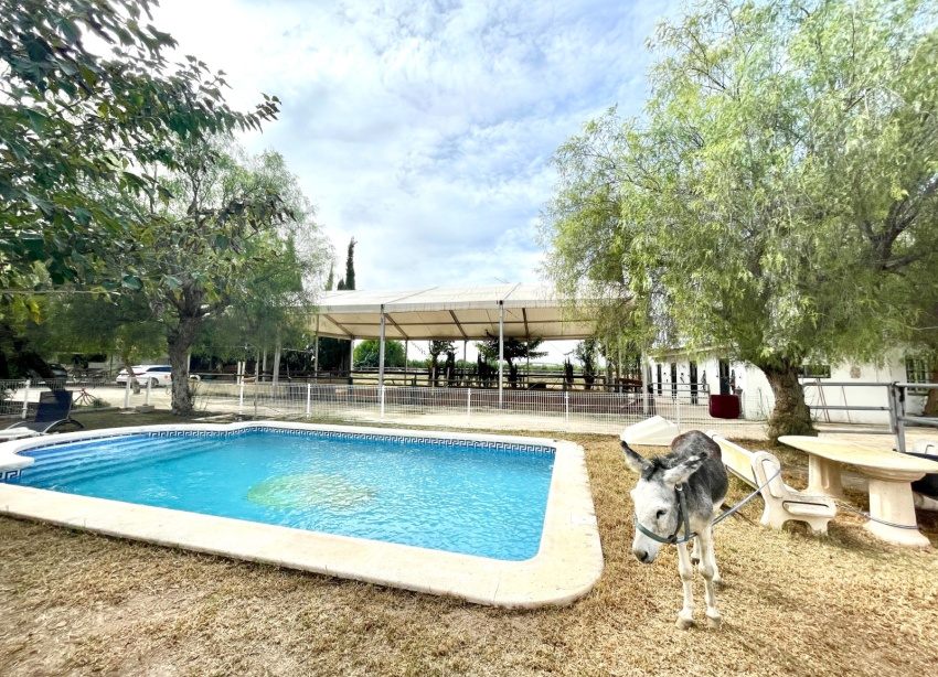 Resale - Farm Estate / Country Property - Orihuela