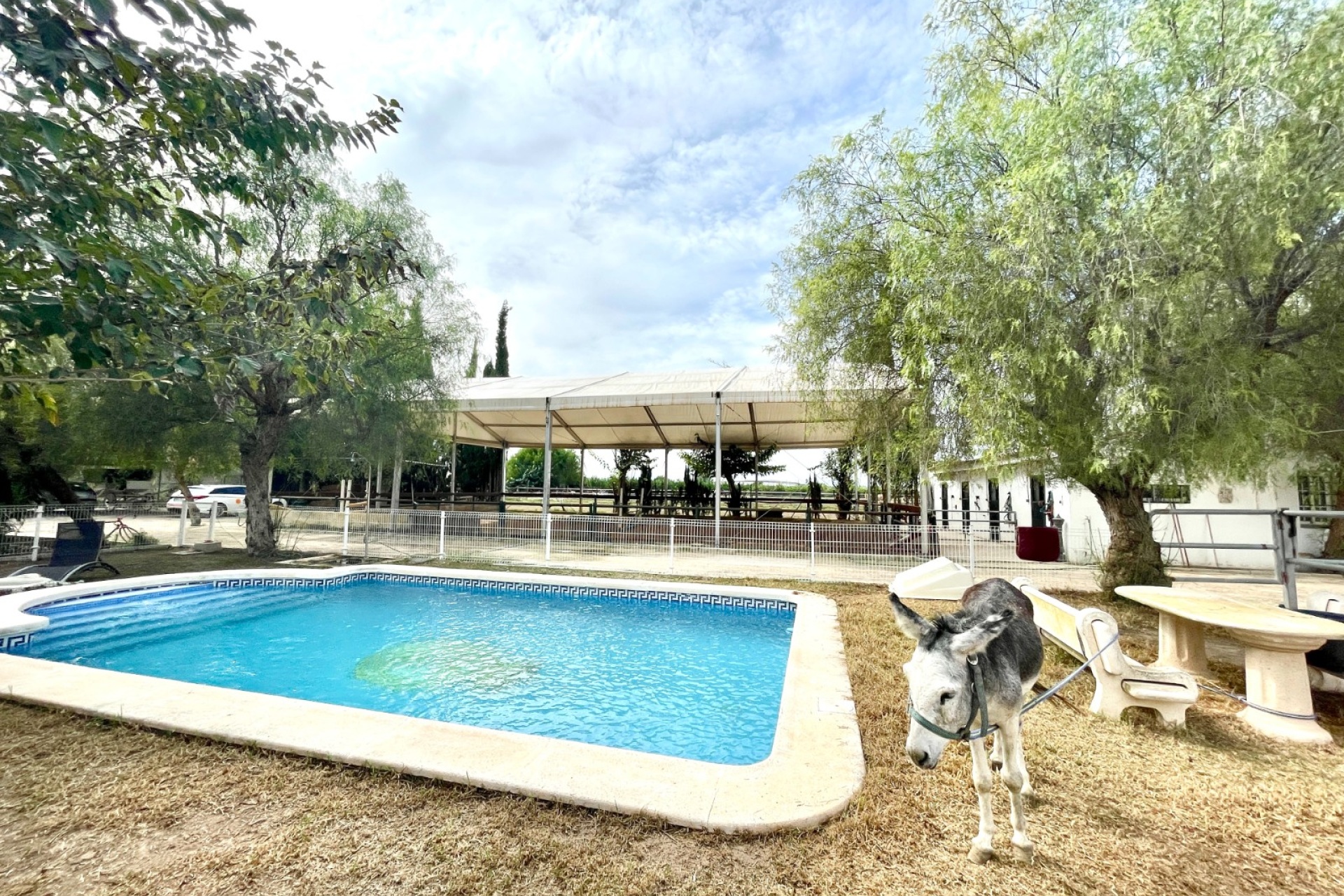 Resale - Farm Estate / Country Property - Orihuela
