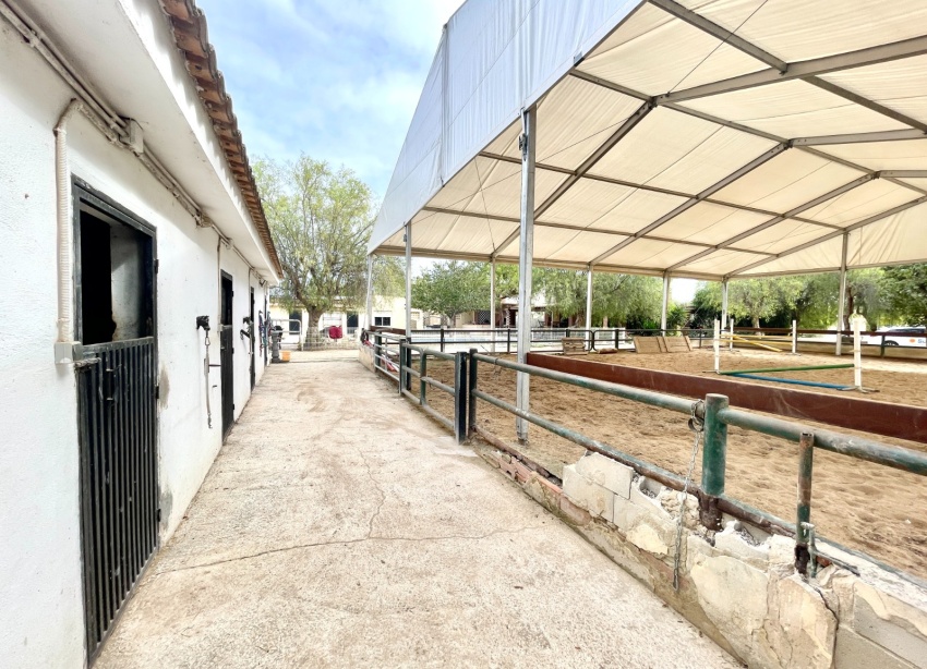 Resale - Farm Estate / Country Property - Orihuela