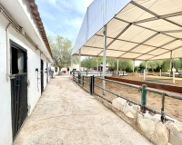 Resale - Farm Estate / Country Property - Orihuela