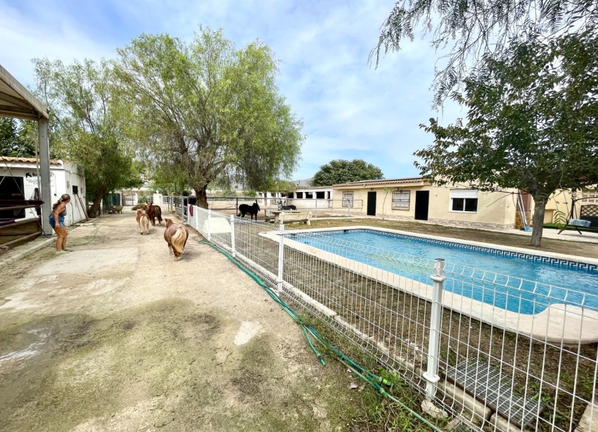 Resale - Farm Estate / Country Property - Orihuela