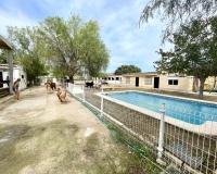 Resale - Farm Estate / Country Property - Orihuela