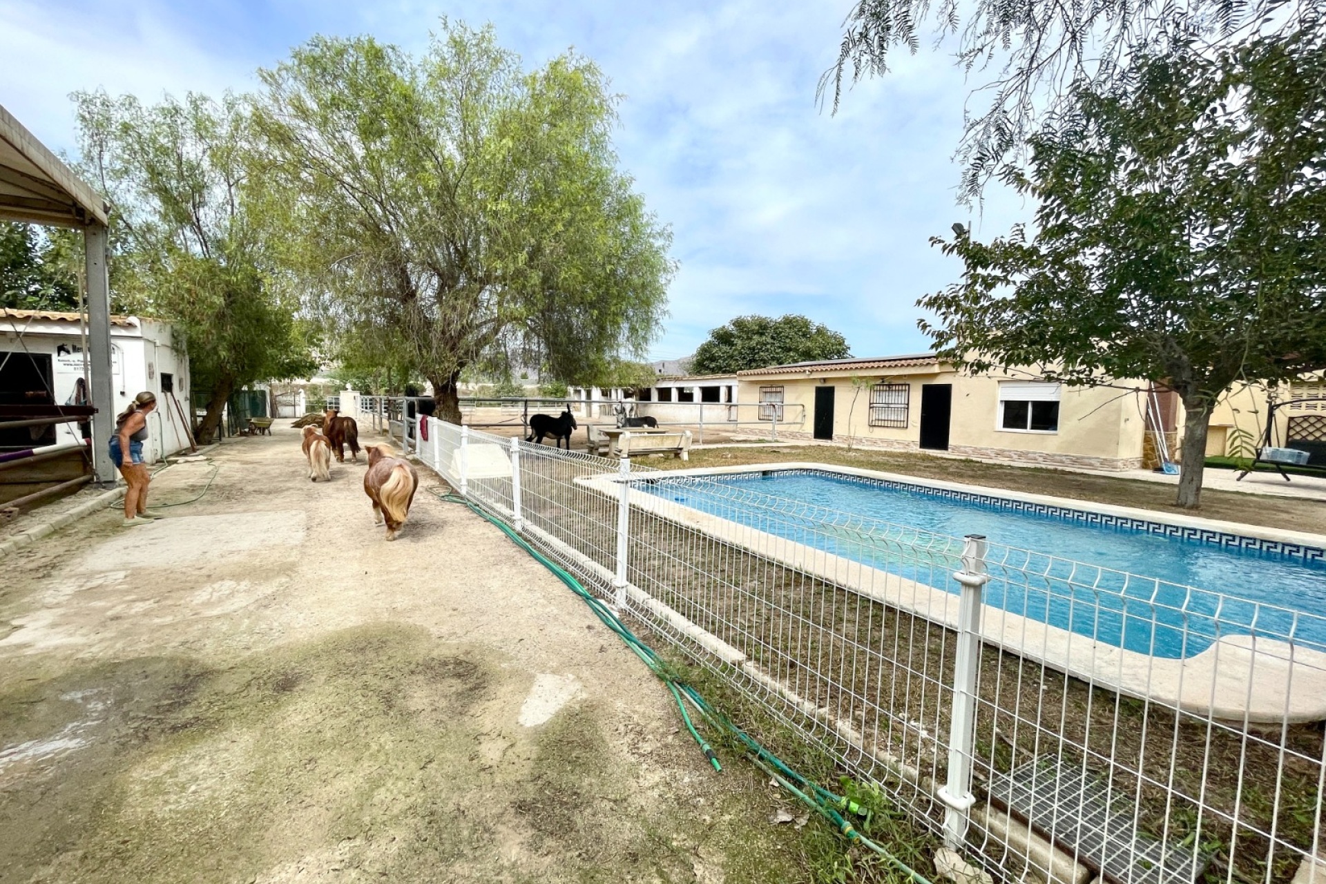 Resale - Farm Estate / Country Property - Orihuela