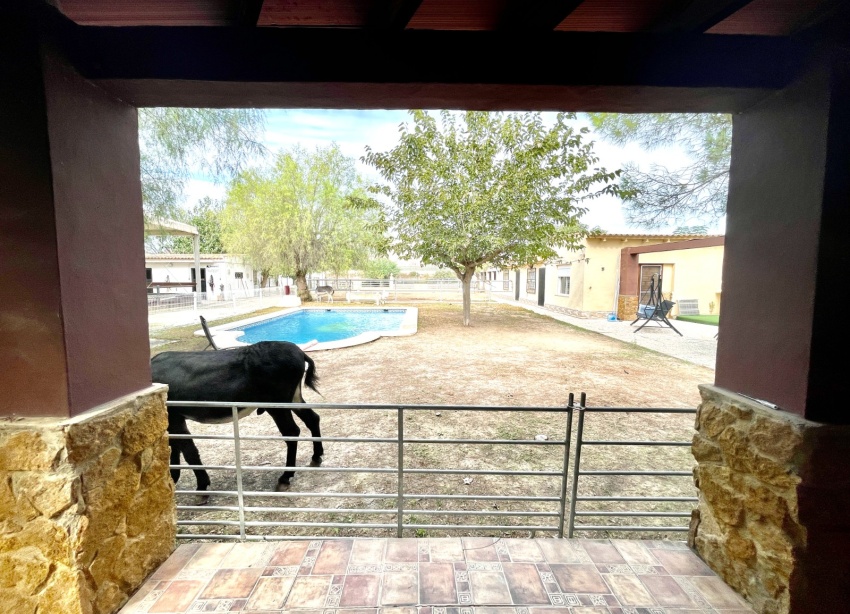 Resale - Farm Estate / Country Property - Orihuela