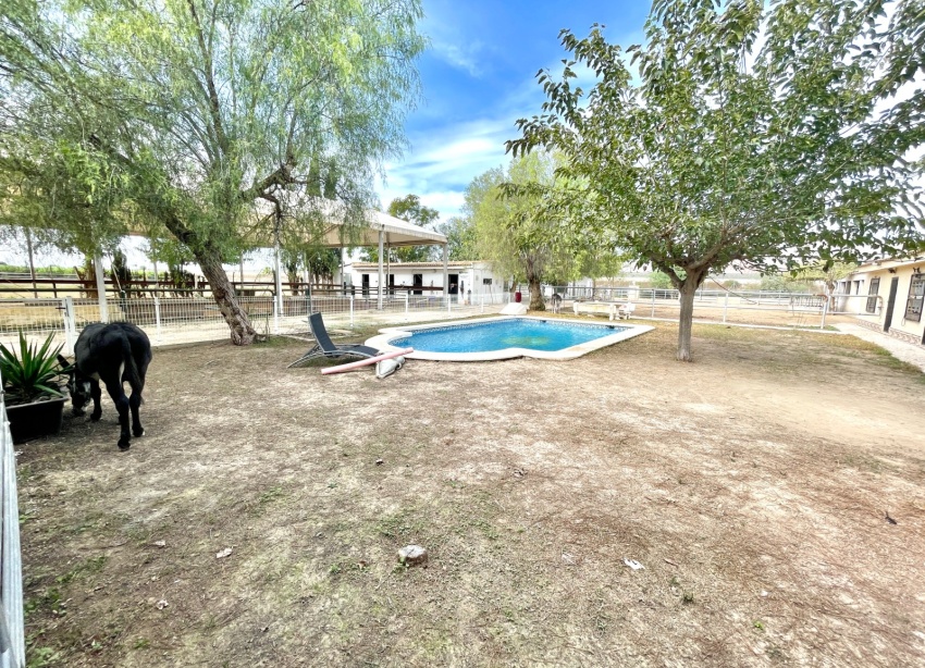 Resale - Farm Estate / Country Property - Orihuela
