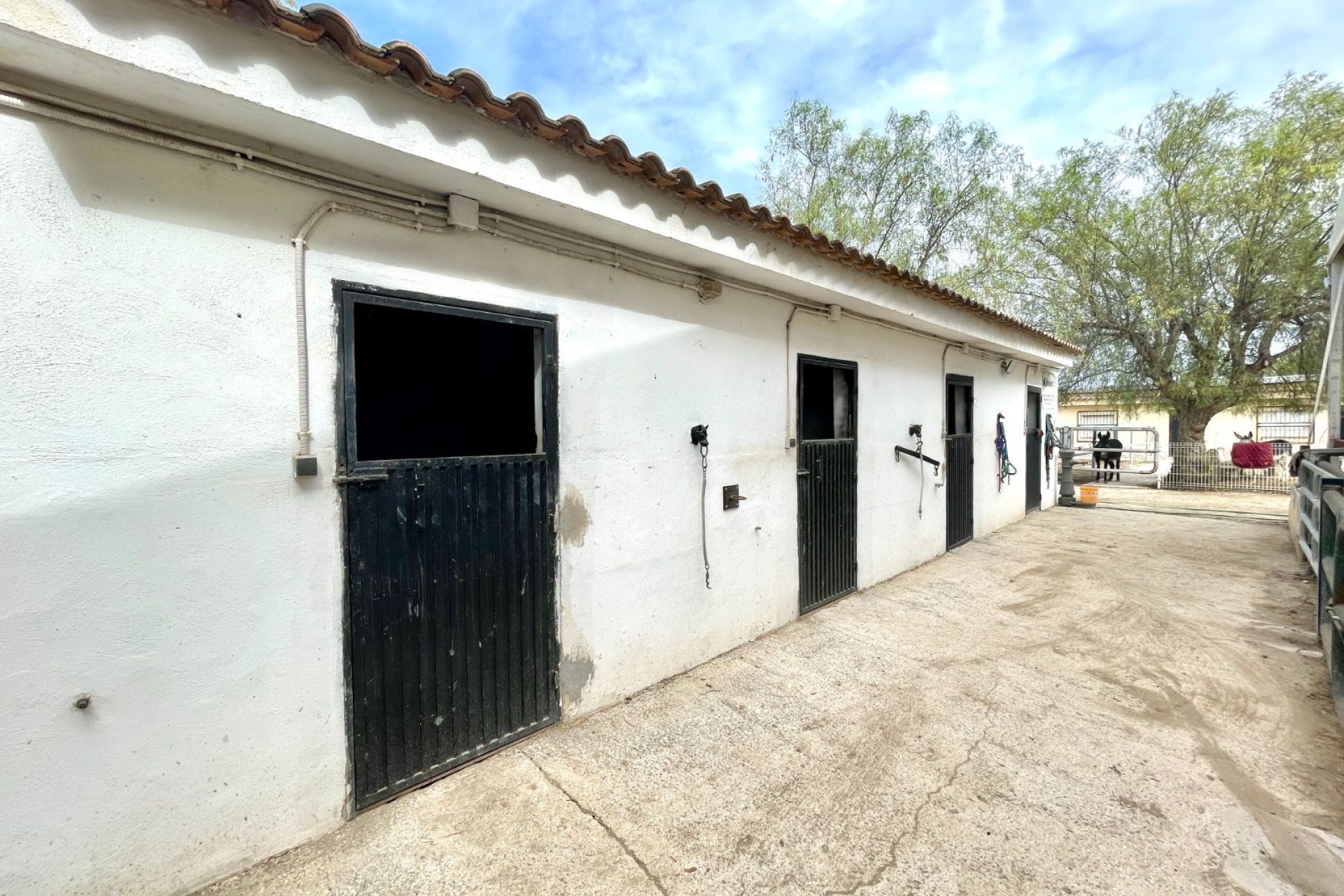 Resale - Farm Estate / Country Property - Orihuela