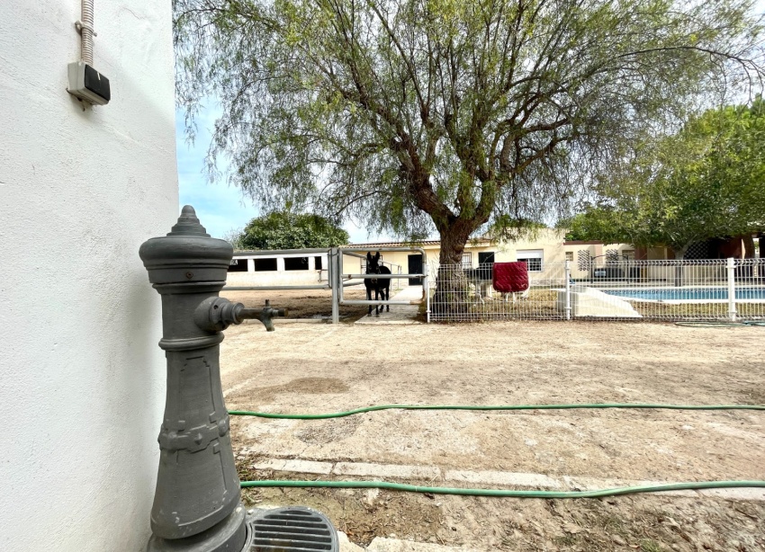 Resale - Farm Estate / Country Property - Orihuela