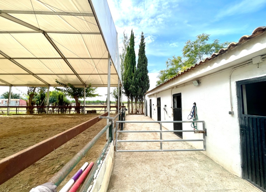 Resale - Farm Estate / Country Property - Orihuela