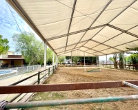 Resale - Farm Estate / Country Property - Orihuela